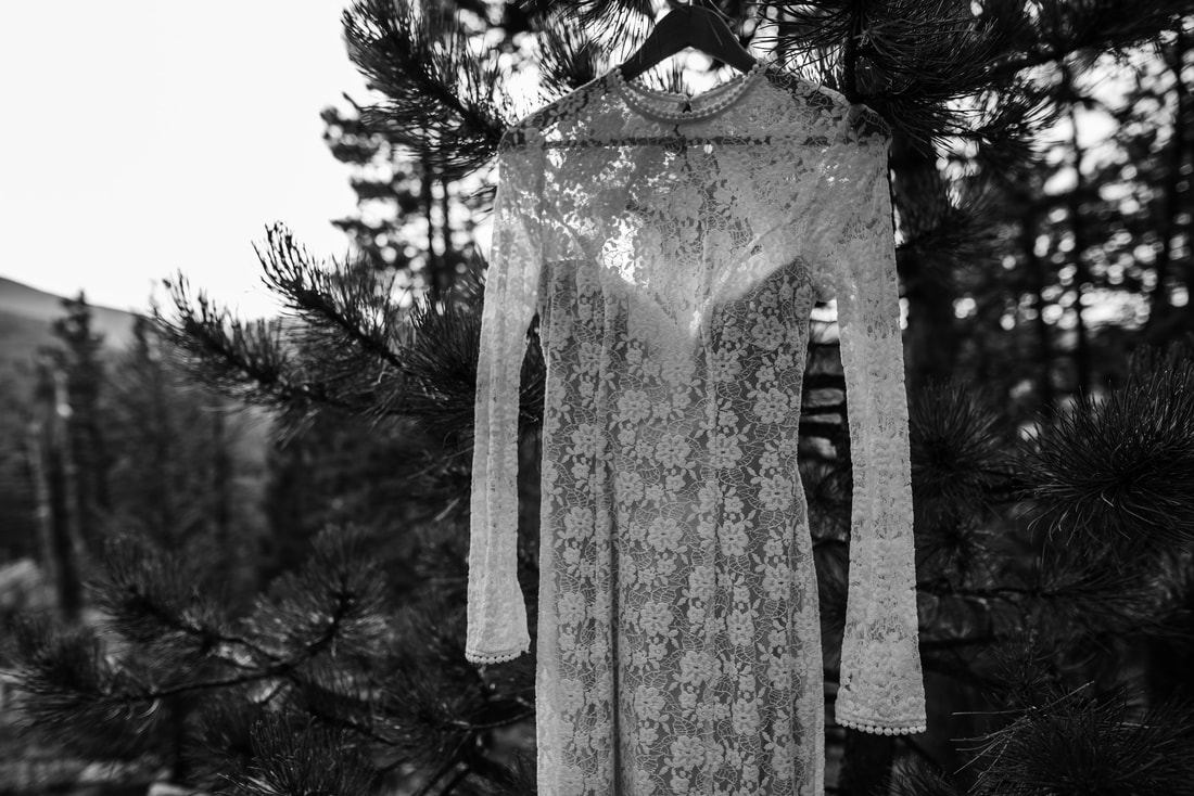 wedding dress hanging in tree